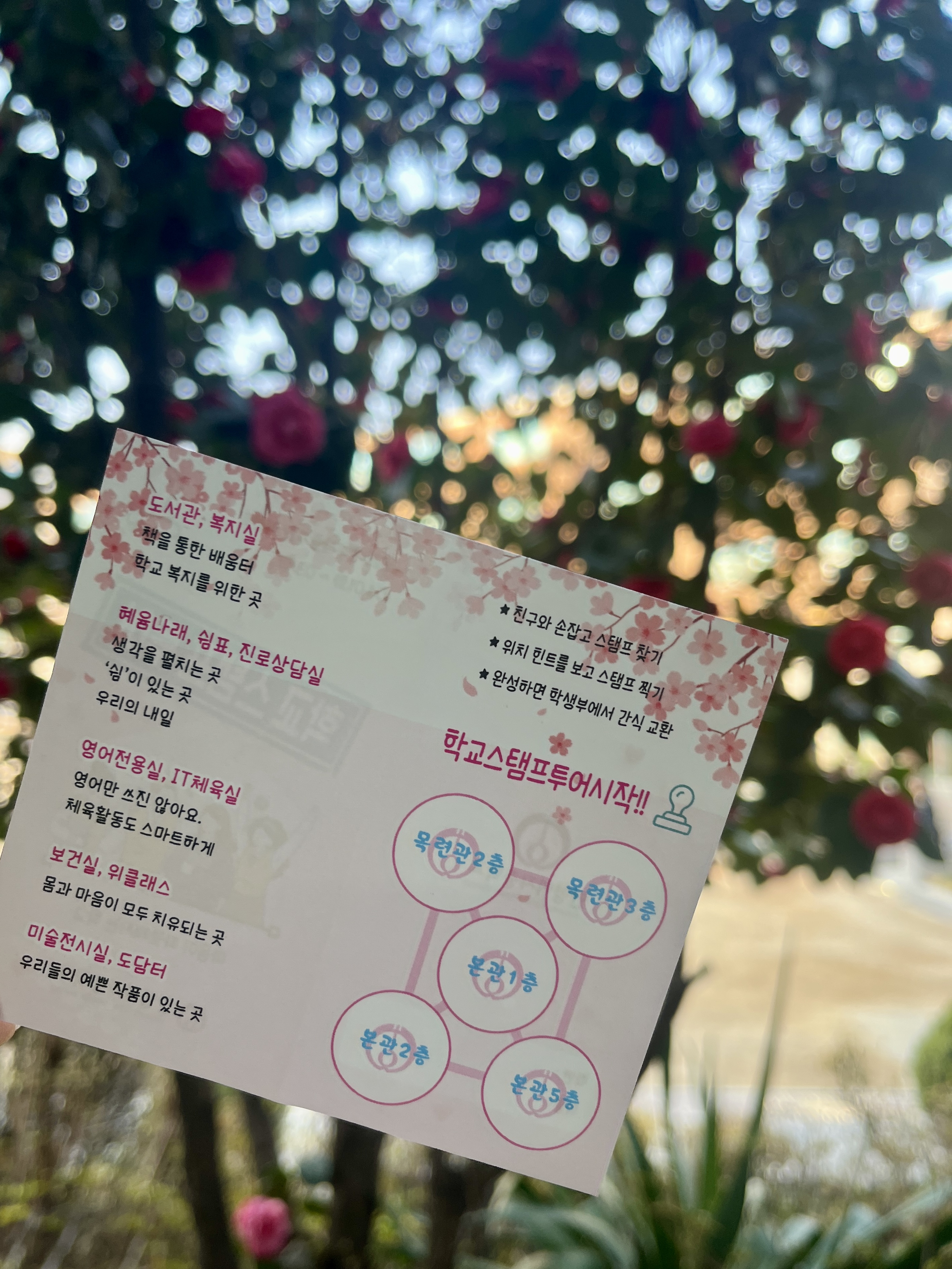 KakaoTalk_20250401_080206544_01